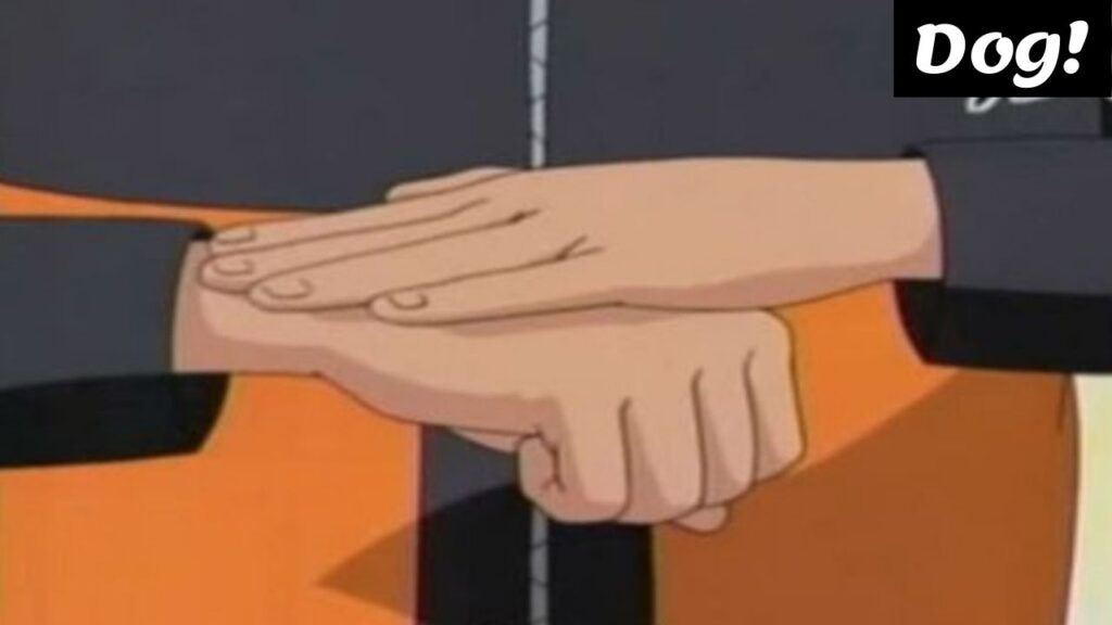 Naruto Hand Signs Dog