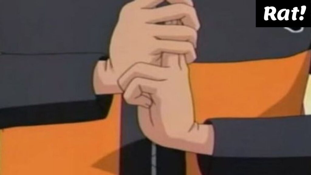 Naruto Hand Signs Rat