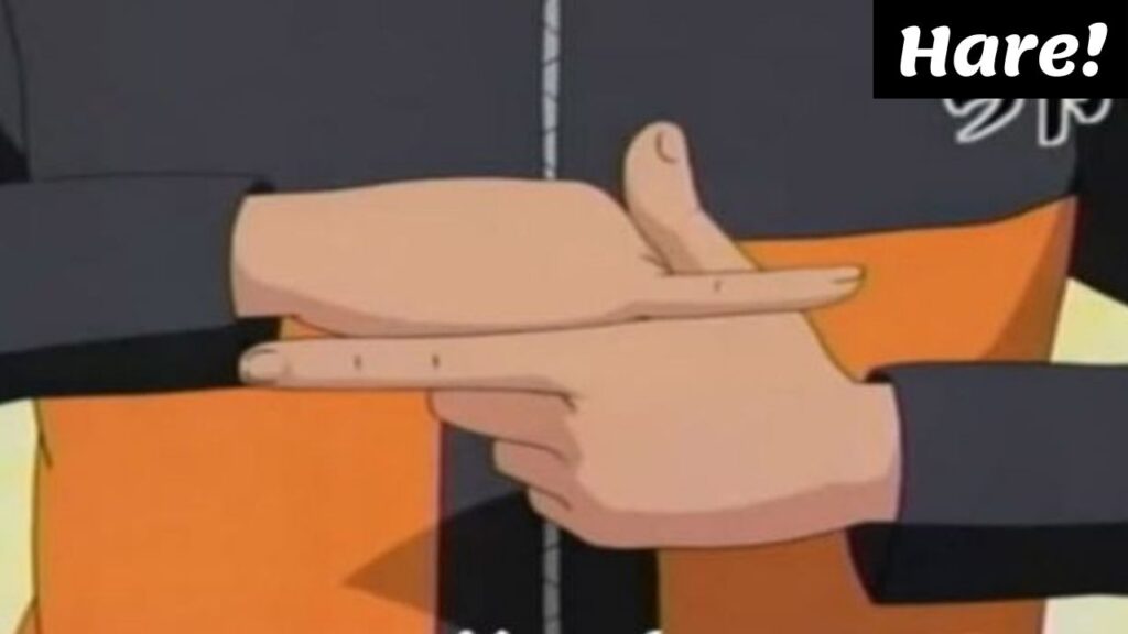 Naruto Hand Signs Hare