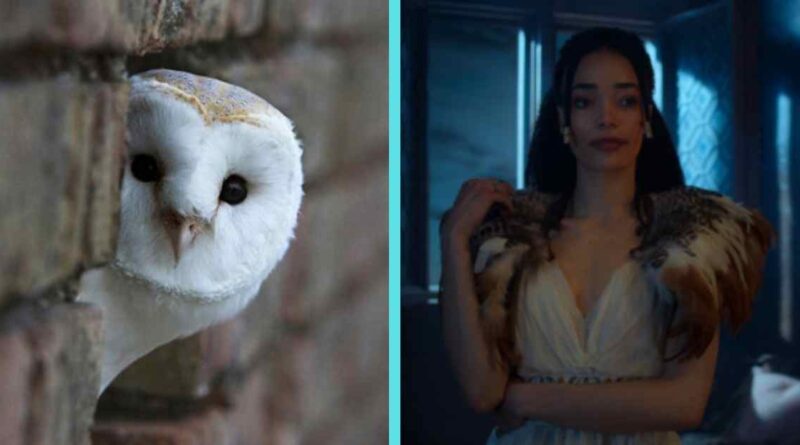 The Witcher Owl, Philippa Eilhart in The Season 3