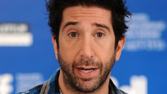 Why David Schwimmer is Not Seen in any Hollywood Premieres