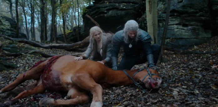 PETA Is Unhappy With The Use of Real Hoarse as Roach, The Witcher Series