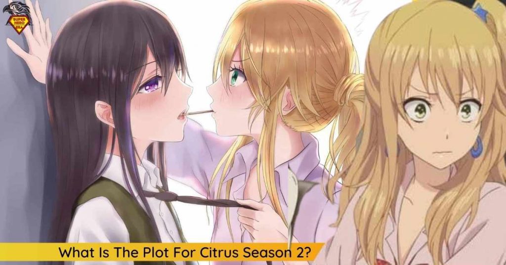 What Is The Plot For Citrus Season 2