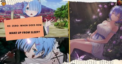 RE ZERO WHEN DOES REM WAKE UP FROM SLEEP