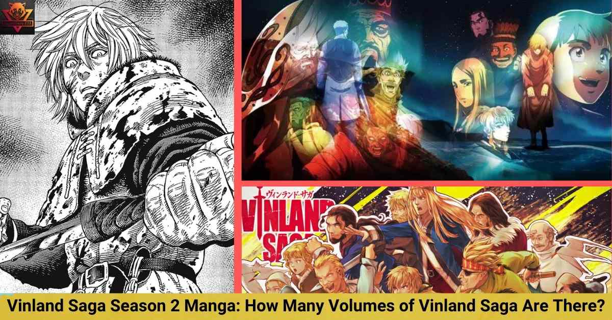 Officially Confirmed: Vinland Saga Season 2 Is Happening