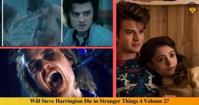 _Will Steve Harrington Die in Stranger Things 4 Volume 2