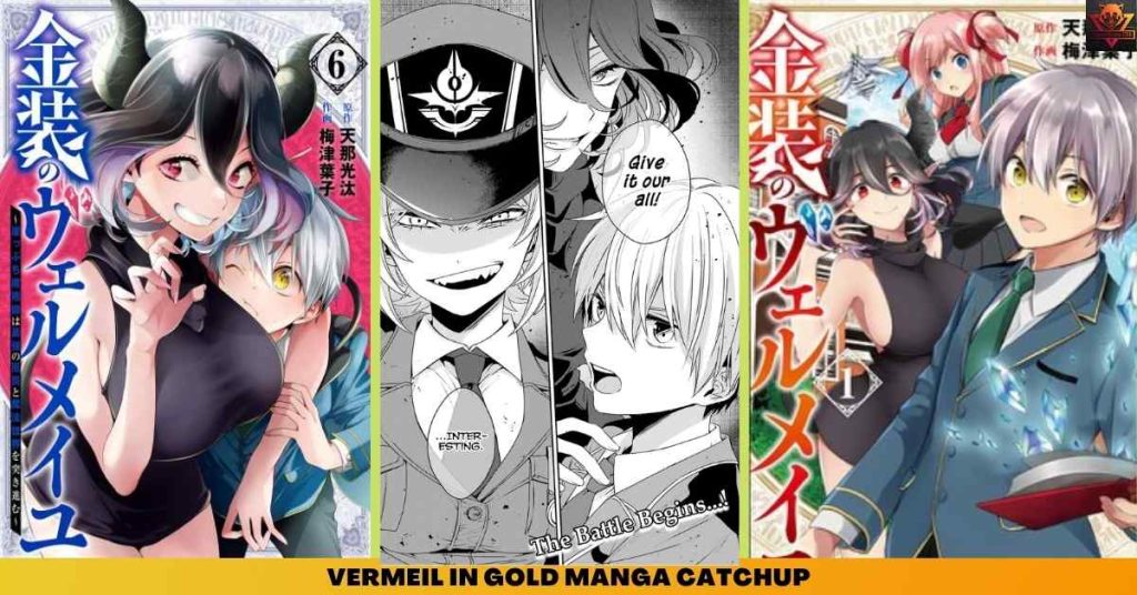 VERMEIL IN GOLD MANGA CATCHUP