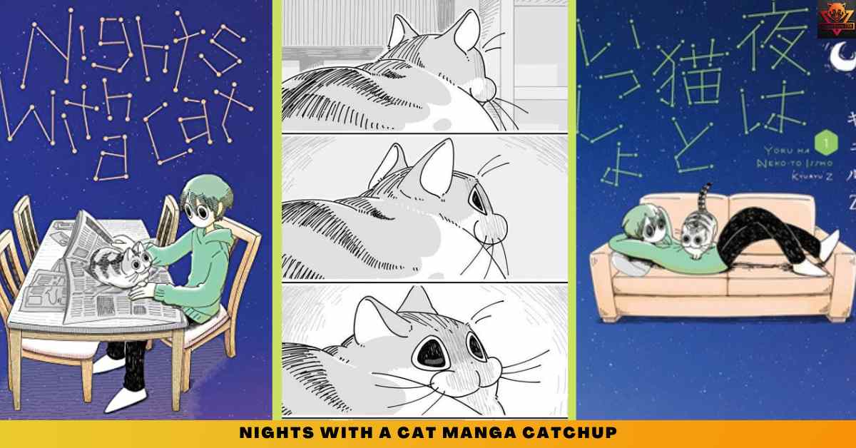 Nights With A Cat Season 2 Release Date Confirmed+Key Visual