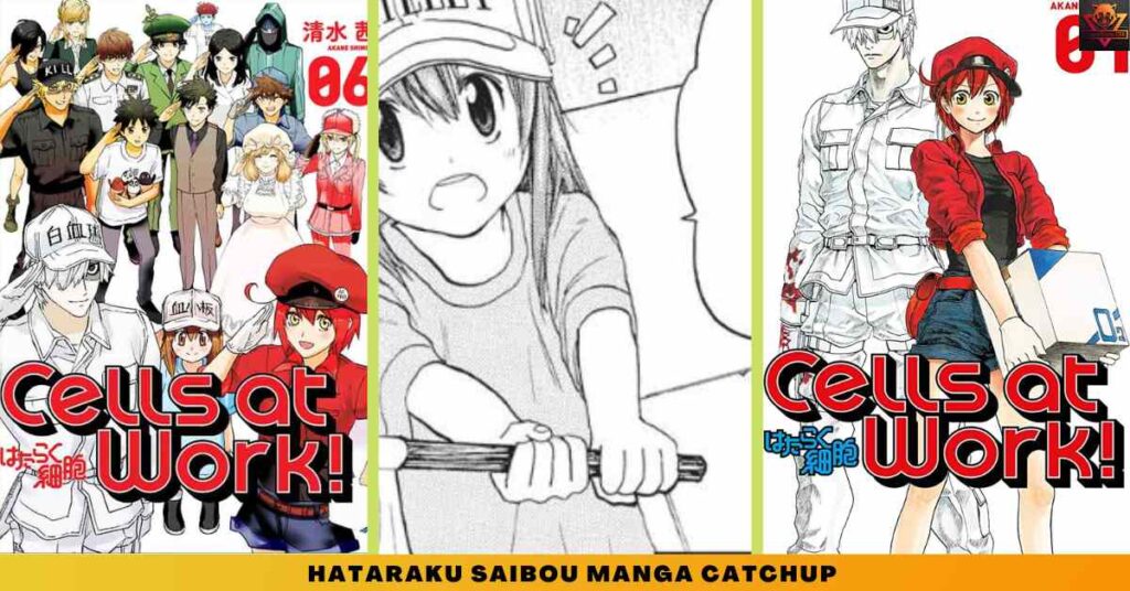 Hataraku Saibou manga CATCHUP